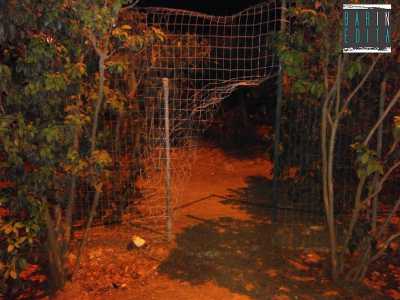 Uno dei tanti buchi della recinzione del Parco utilizzati da chi vi accede una volta chiusi i cancelli